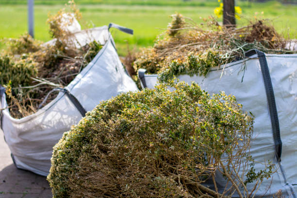 Best Professional Junk Removal  in Hurlock, MD